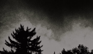 Spread the Disease - The Darkness. The Dread. The Suffering. Review