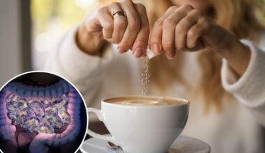 Low-cal sweeteners can change gut bacteria