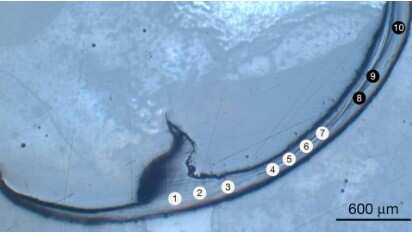 Photo credit: Zelaya-Lainez et al. Cross-section of bristle worm jaw showing labeled indentation test sites
