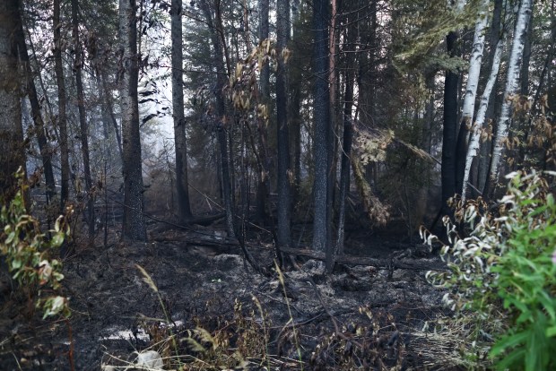 A burned section of forest after a wildfire spread through the area close to Upsala, a community near Thunder Bay, Ontario, Canada, on July 18, 2026. (Cole Burston/The New York Times)