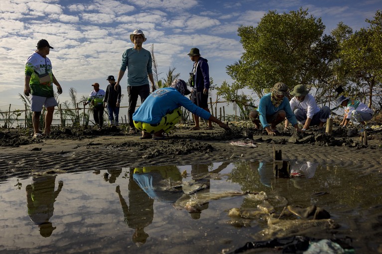 A group of fishermen plant mangrove seedlings on the coastline as part of efforts to reduce flooding in Tibaguin Island, Hagonoy, Philippines.