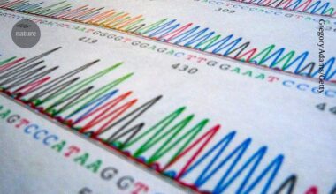 Huge study finds first genetic clues for borderline personality disorder