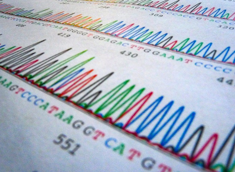 Narrow depth of field, close-up view of a colour printed DNA sequencing output.