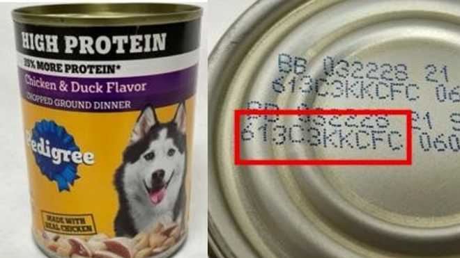 Pedigree dog food recall Pedigree dog food recall