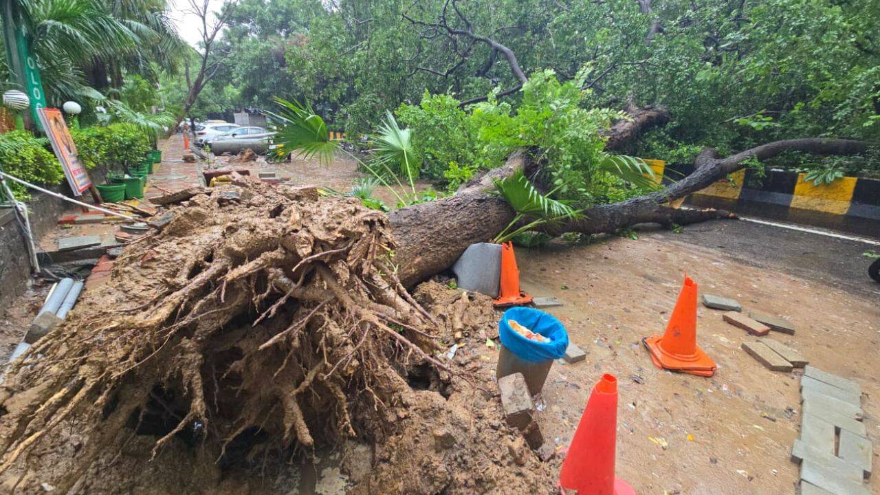 Delhi monsoon rains