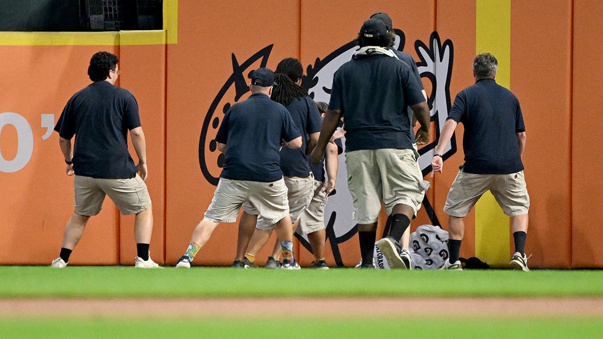 Detroit Tigers grounds crew captures a black squirrel on the field during a game at Comerica Park.