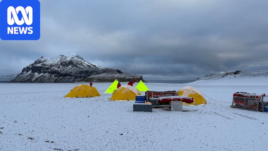 Leaking tents and 'substandard' gear given to sub-Antarctic expeditioners
