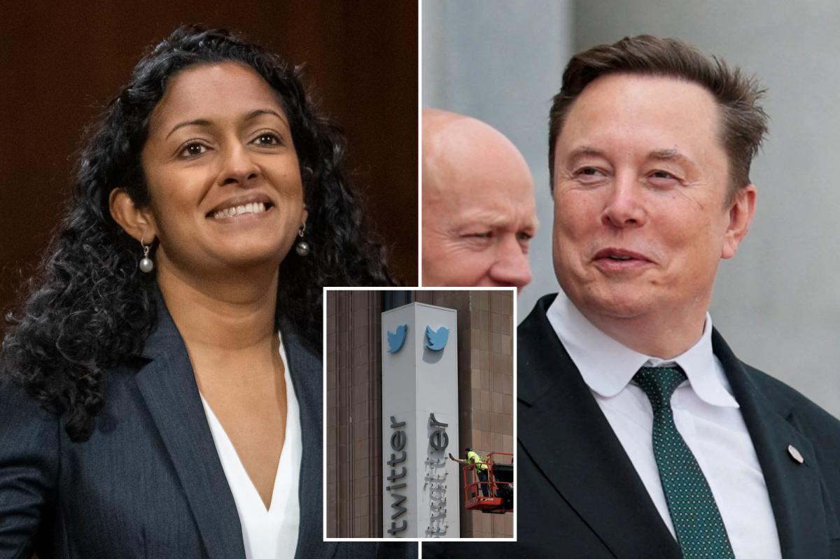 Biden-appointed judge reluctantly approves Elon Musk's settlement with SEC over Twitter disclosures