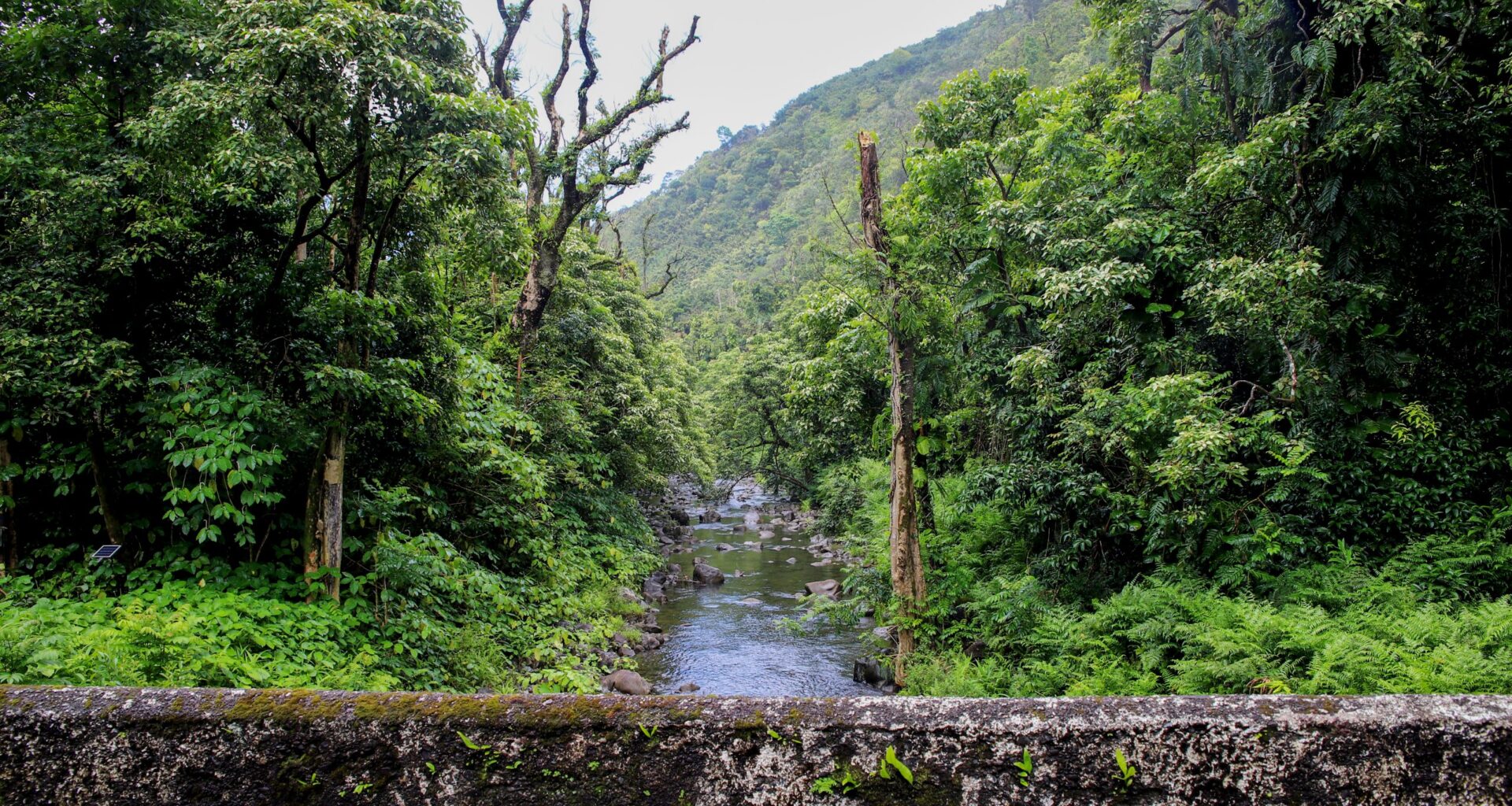 Public Or Private? The Future Of East Maui's Water Is At Stake