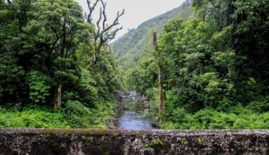 Public Or Private? The Future Of East Maui's Water Is At Stake