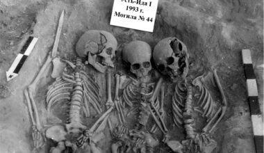 Prehistoric Plague Could Have Caused a Population Collapse in Stone Age Europe
