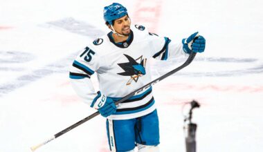 Ryan Reaves says he wants to play another year in the NHL: ‘I’ve got one more left in the tank’