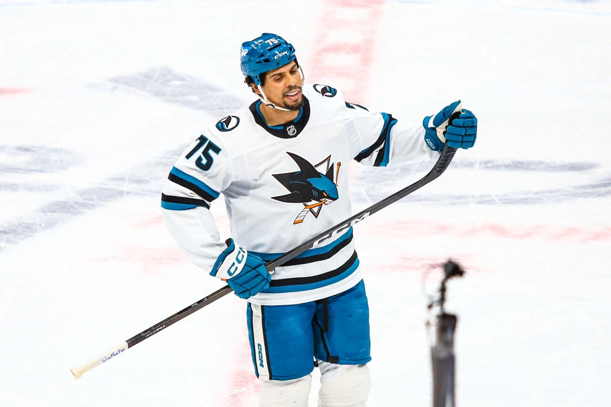 Ryan Reaves says he wants to play another year in the NHL: ‘I’ve got one more left in the tank’