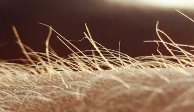 Itching May Have Its Own Sensory Organ : ScienceAlert