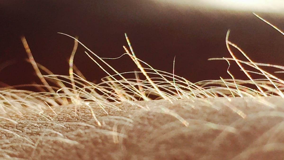 Itching May Have Its Own Sensory Organ : ScienceAlert