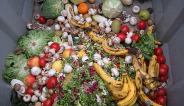 The Fix for Food Waste Comes With a Major Catch