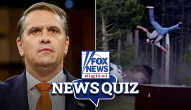 News Quiz: Todd Blanche hearing, Yellowstone bison and more