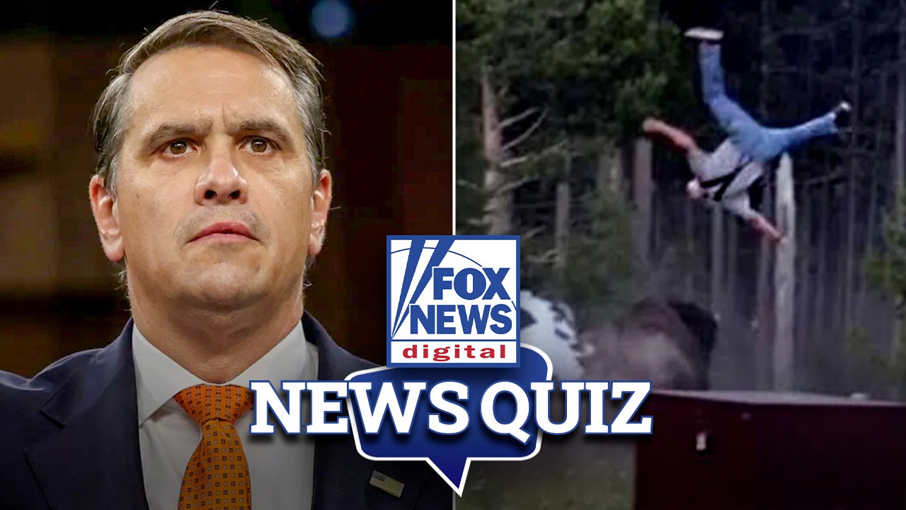 News Quiz: Todd Blanche hearing, Yellowstone bison and more