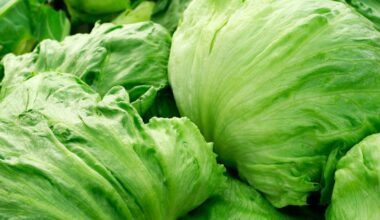 Cyclospora outbreak linked to iceberg lettuce expands to 4 more states