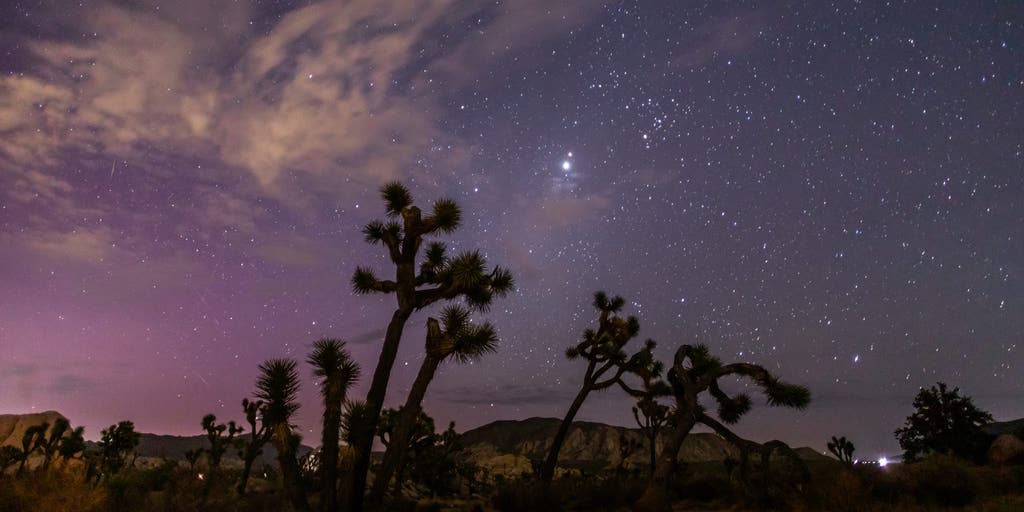 Look up: The Perseid meteor shower is here