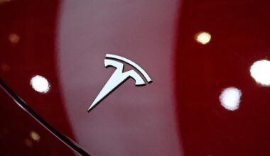 Tesla driver faces manslaughter charges over Texas crash that killed a woman inside her home