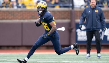 The non-Savion Hiter freshmen to watch for on Michigan Football in 2026