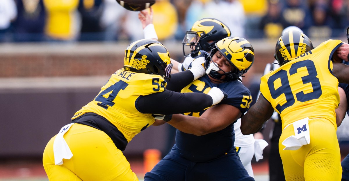 This Michigan Football DL will FINALLY get more playing time in 2026
