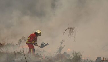 More than 300,000 displaced in France and Spain as exhausted firefighters battle wildfires
