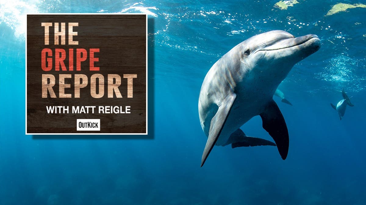 Dolphin and Gripe Report logo