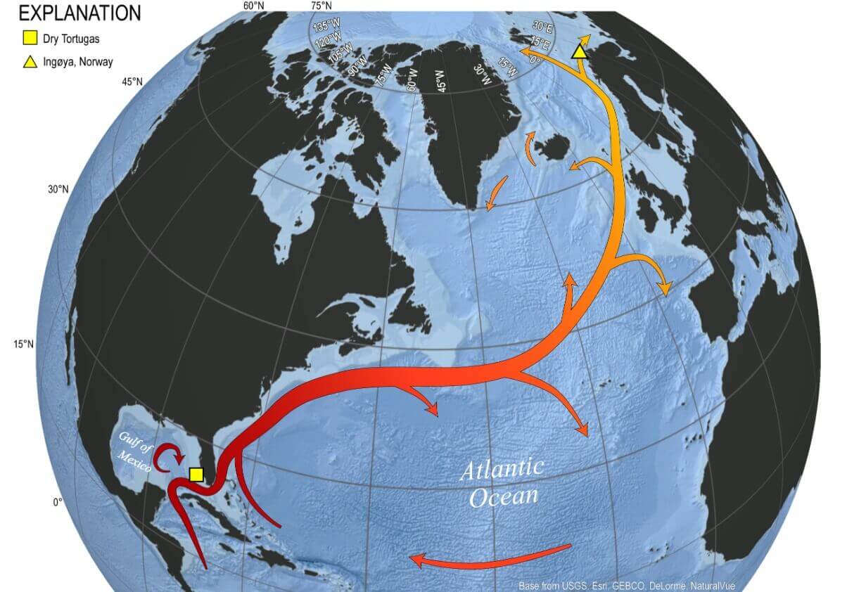 gulf-stream-atlantic-ocean-current-amoc-location-schematic-weather-flow-united-states-canada-europe-north-america-winter-weather-driver