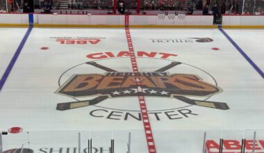 Hershey Bears sign three depth players to one-year AHL contracts