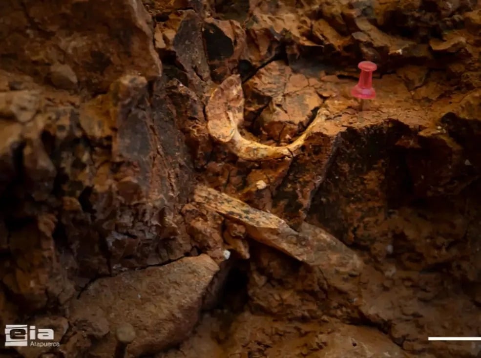 Homo Antecessor Atla