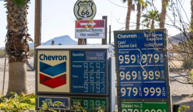 Why aren't oil prices higher? Staggering drop in energy demand leaves strategists puzzled.