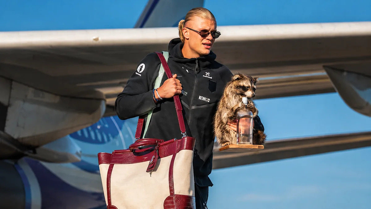 Norway's Erling Haaland brought a $750 taxidermied raccoon home from the World Cup — his country welcomed him with a Royal-led Viking Row