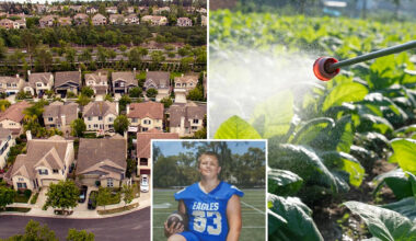 Ritzy SoCal city rocked by rare cancer outbreak suspends use of chemical landscaping products