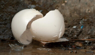 The June jobs report laid an egg: The US only added roughly half of what economists had forecast — what it means for you