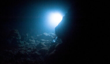 A New Predator Has Emerged From the Deepest, Darkest Part of the Ocean