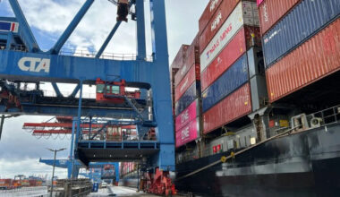 EU trade with US hits record high despite tariff tensions, study shows