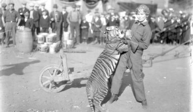 The inspiring and tragic story of Mabel Stark, America’s most famous female tiger trainer