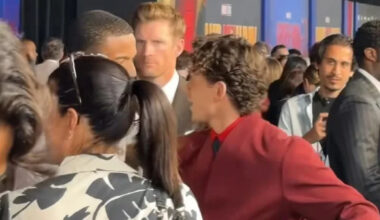 Tom Holland and the Cast Celebrate Spider-Man in L.A. - Yahoo