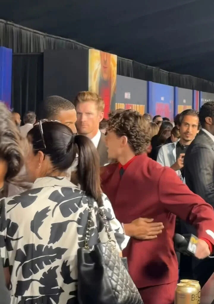 Tom Holland and the Cast Celebrate Spider-Man in L.A. - Yahoo