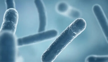 Fourth person dies from Legionnaires’ disease outbreak in Manhattan