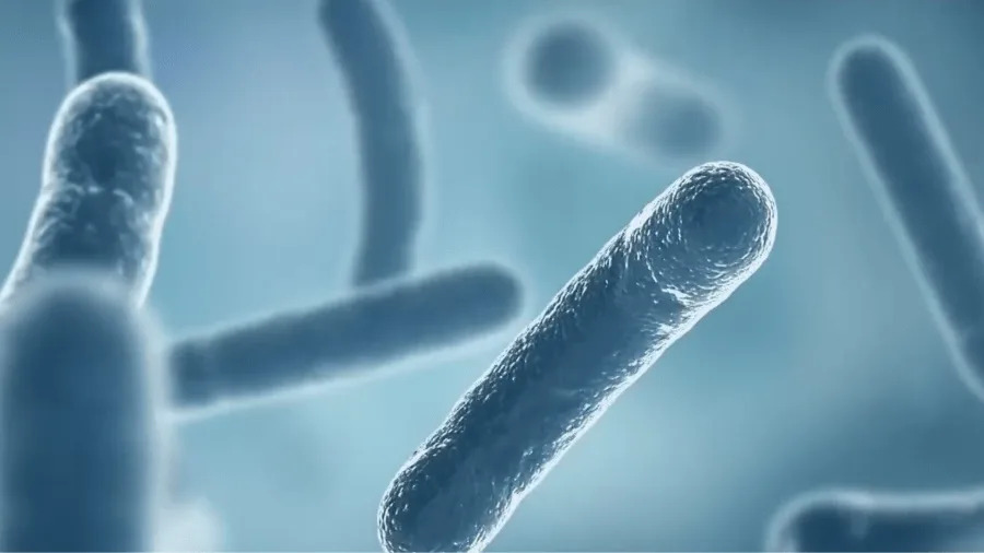 Fourth person dies from Legionnaires’ disease outbreak in Manhattan
