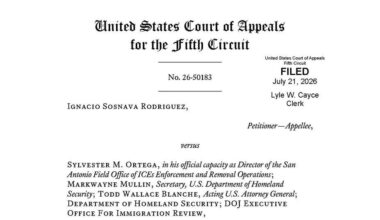 Bonus 239: The Fifth Circuit's "Precedential Stay" in Sosnava Rodriguez