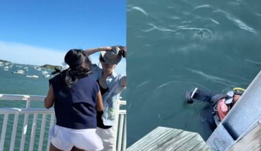 A woman knocks a hat off a man on a dock over water; on the right, a diver in the water holds the hat near the dock.