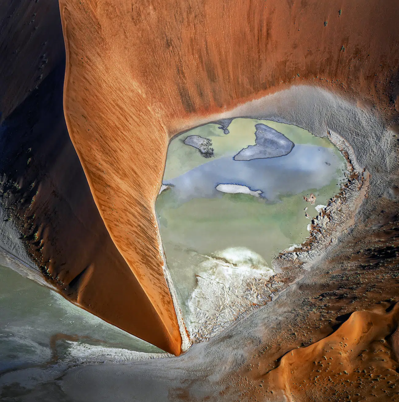 Barbara Brown, Australia. Mud Trees. Flooding of Sossusvlei due to heavy rains generated tree patterns.