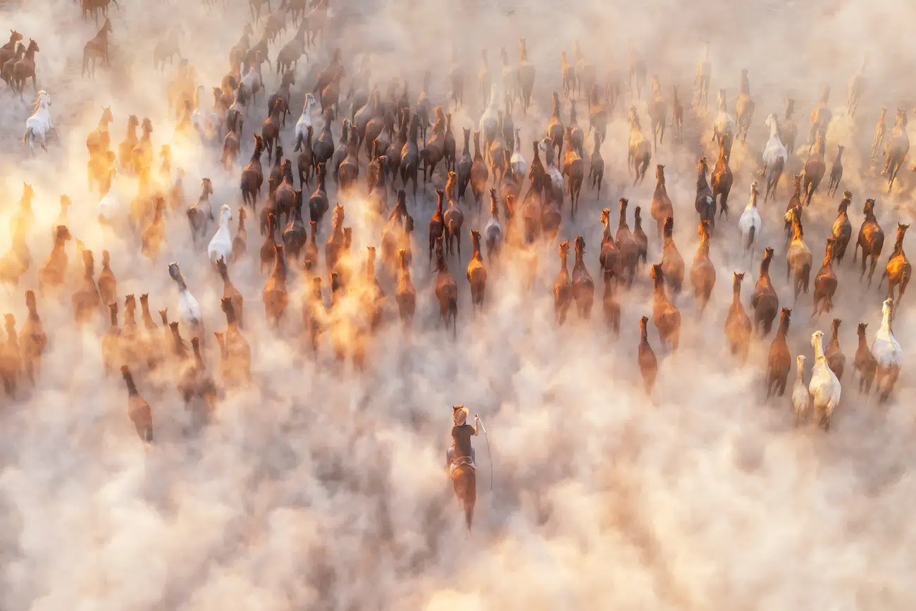 Kah-Wai Lin, United States. Thunder of Hooves. At sunset in Cappadocia, Yilki horses surge across the dusty plateau. Raised by villagers and released to roam free, they embody resilience and tradition, moving like a river of fire beneath the fading Anatolian sky.
