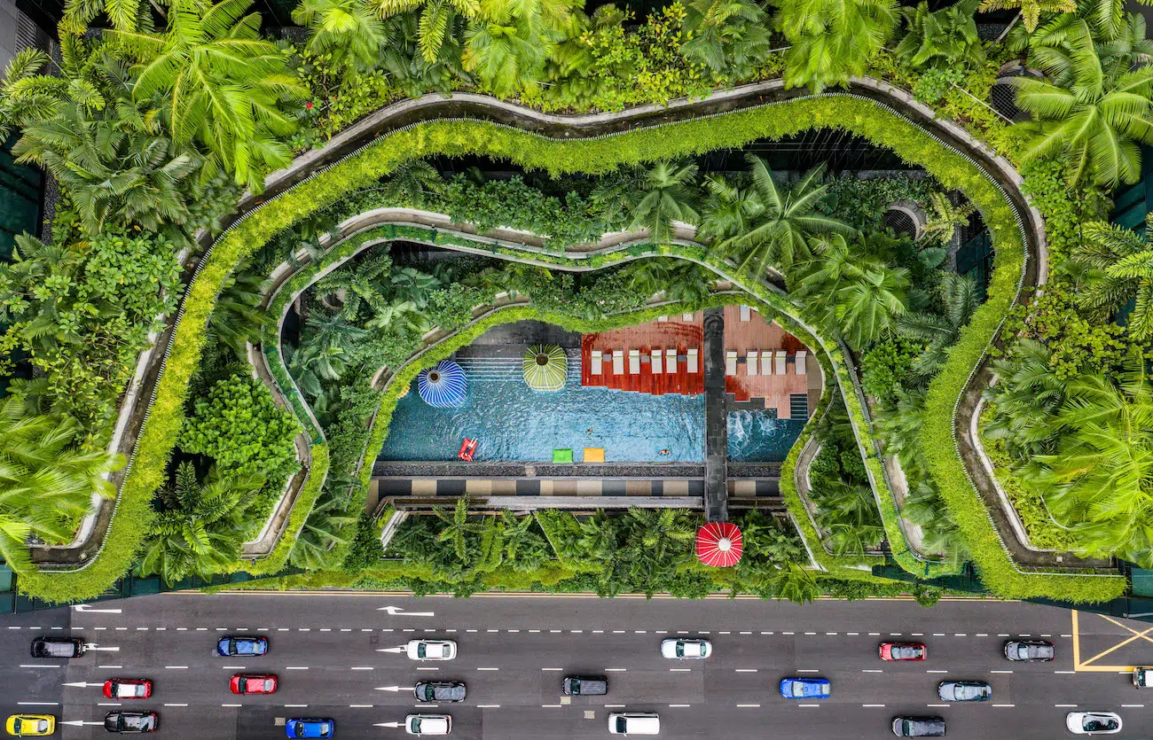 Chin Leong Teo, Singapore. Bali Rice Terrace 2. Bali’s rice terraces cascade down the hillsides in vivid green steps, shaped by centuries of careful irrigation. Four ladies with a dog work the fields in a line, moving steadily through the paddies as they tend the young rice plants.