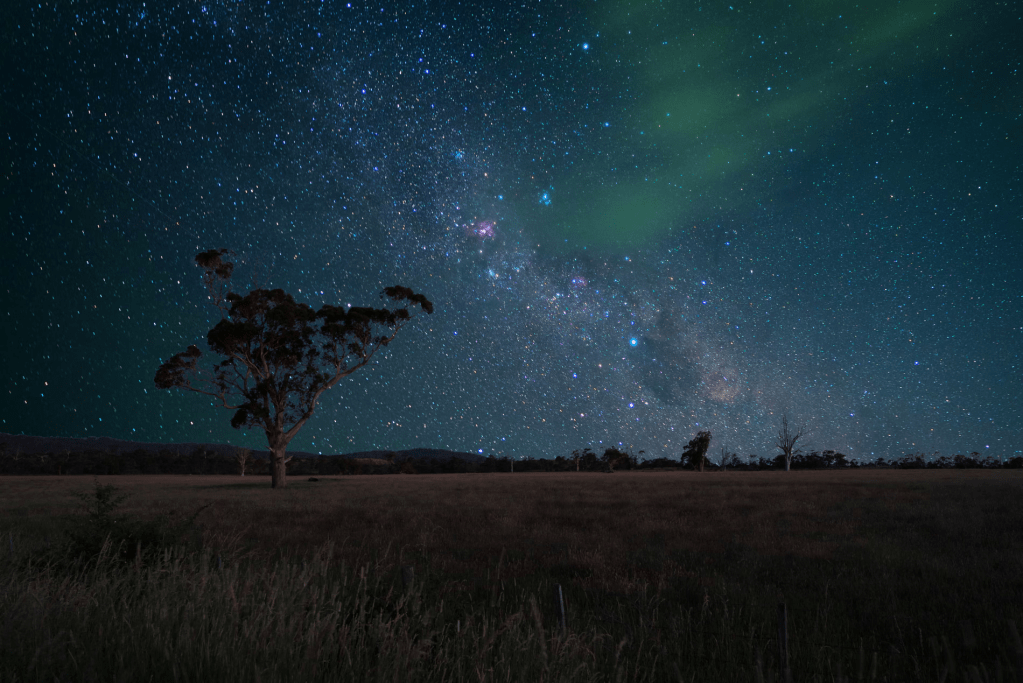 Highly commended, junior category: Tassi Tree with Milky Way Widefield, Charlie Marzolla, David Malin Awards 2025 