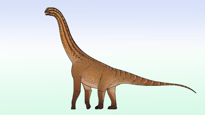 Small Sauropod Dinosaur from Jurassic Period Discovered in India